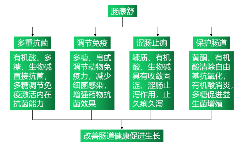 6115c693bac49