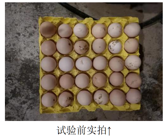 PP电子·仿照器(试玩游戏)官方网站